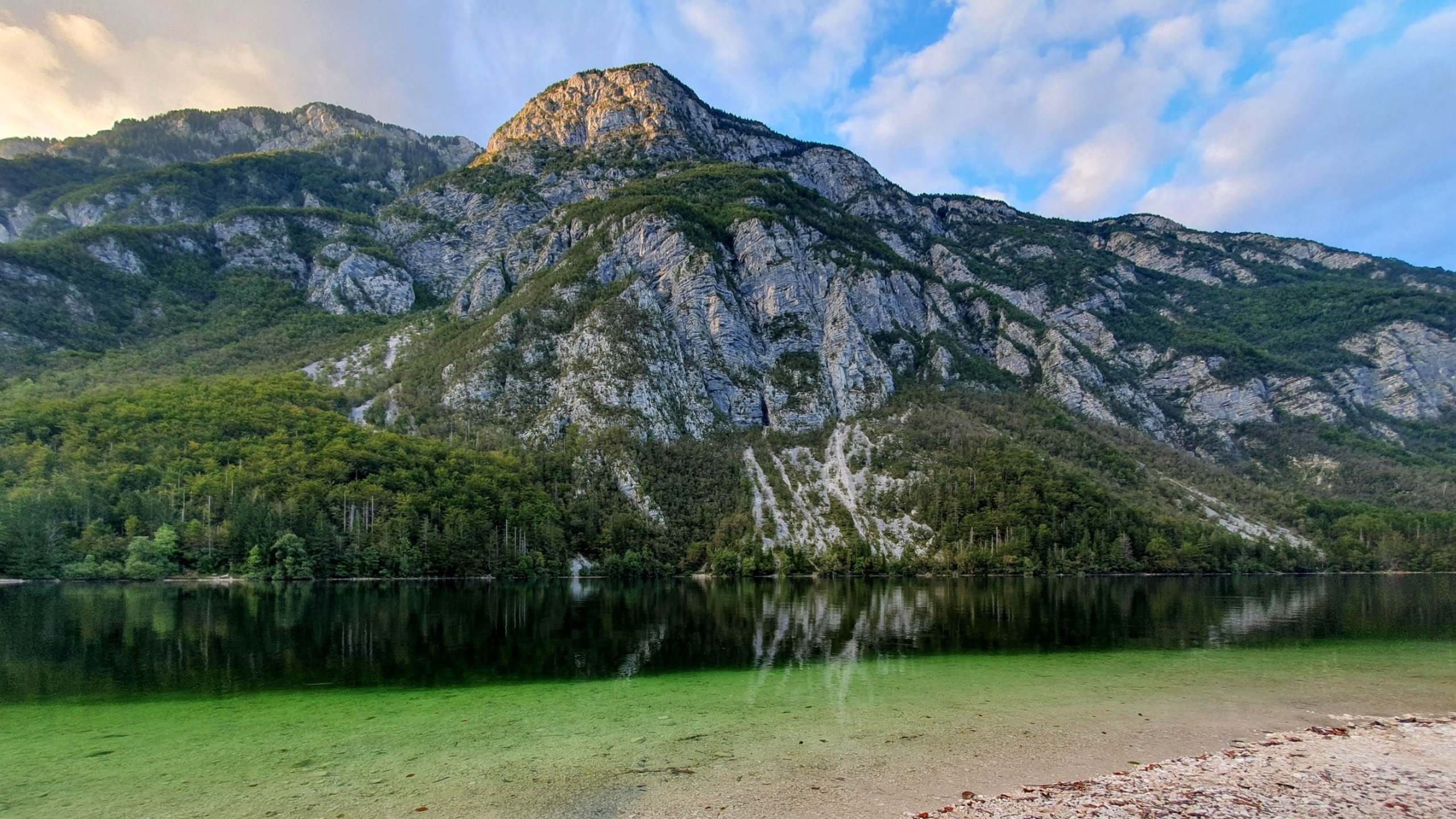 Lake Bohinj shoreline with mountain backdrop near Privillage Stare in Triglav National Park.